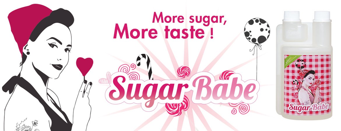 Sugar Babe : More sugar, more taste !